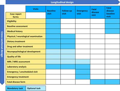 Rare Disease Registries Are Key to Evidence-Based Personalized Medicine: Highlighting the European Experience